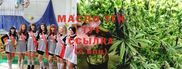 МДПВ Елабуга
