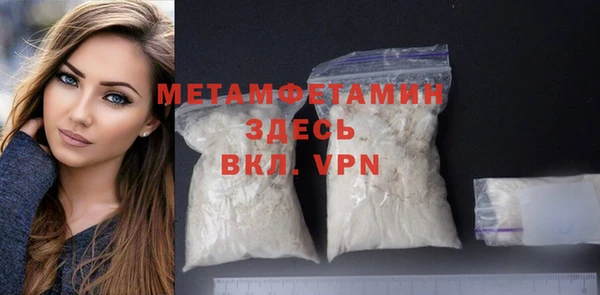 прущие грибы Дмитриев
