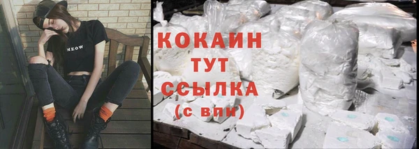 МДПВ Елабуга