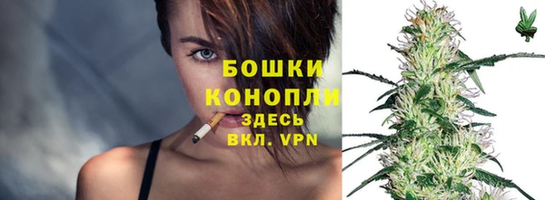 дживик Дмитров