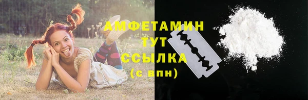 прущие грибы Дмитриев