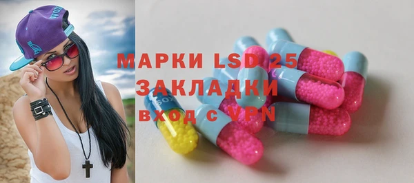 прущие грибы Дмитриев