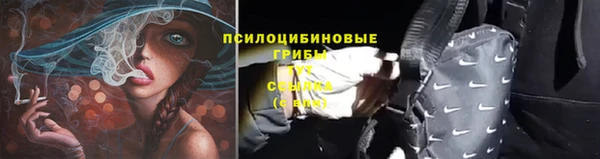 МДПВ Елабуга