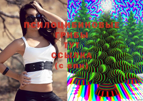 дживик Дмитров
