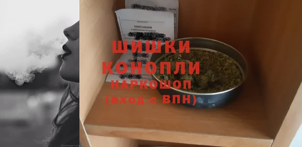 прущие грибы Дмитриев