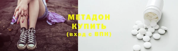 прущие грибы Дмитриев