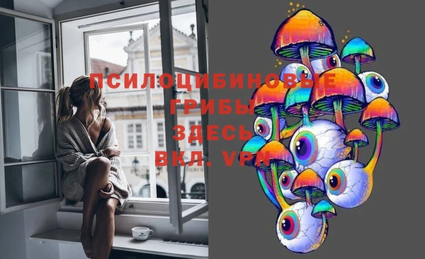 меф Дмитровск