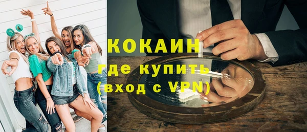 прущие грибы Дмитриев