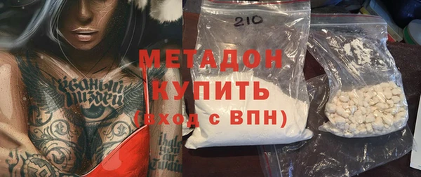 прущие грибы Дмитриев